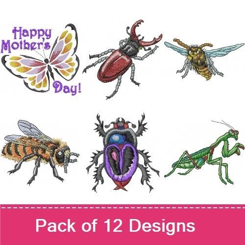 Butterflies, Bugs & Bees!