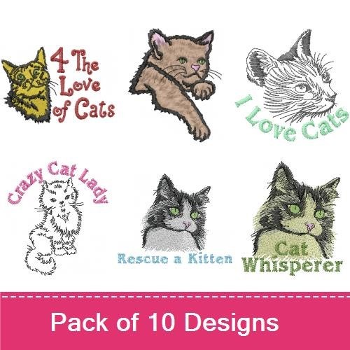Cats 3