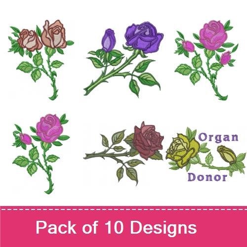 Roses 6