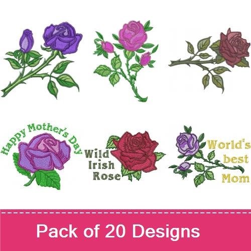 Roses 3