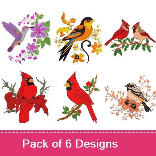 Birds