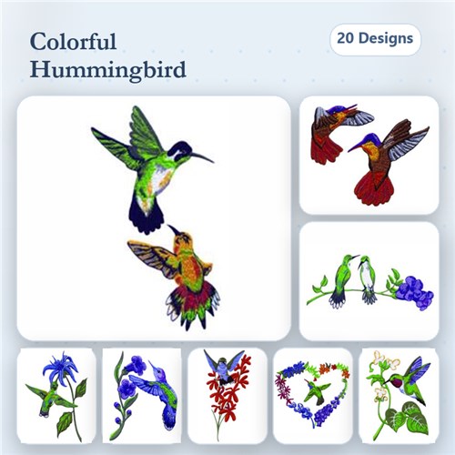 Hummingbird Garden
