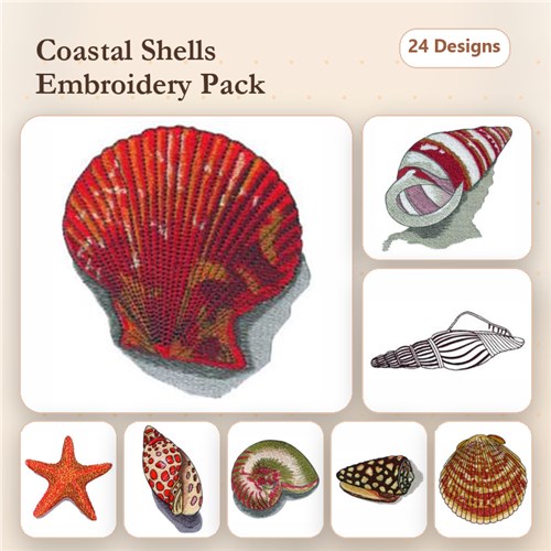 Hunting for Shells