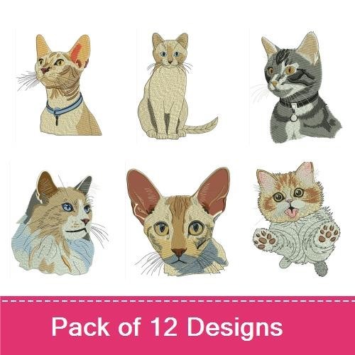 Cats
