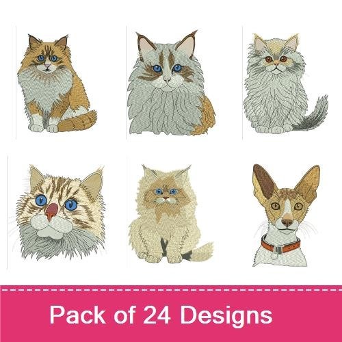 Charming Cat Embroidery Designs Bundle – Persian, Siamese, Maine Coon & More (24 Designs)