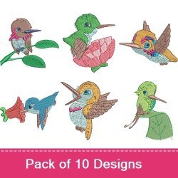 Colorful Hummingbird Embroidery Designs Bundle – Hummingbird on Leaf, Hummingbird with Flower, & More (10 Designs)