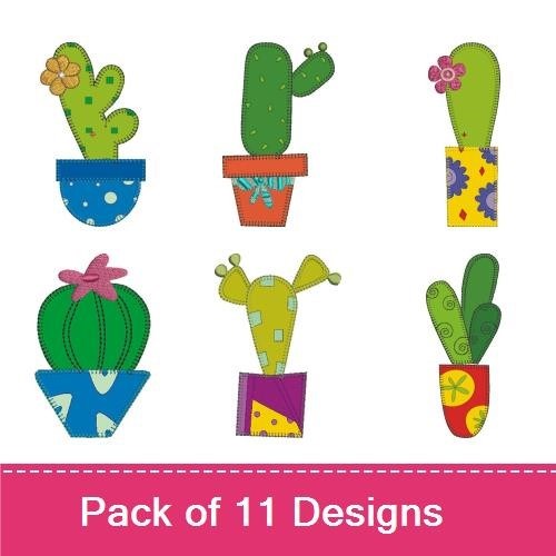 Cactus Appliques & Frame