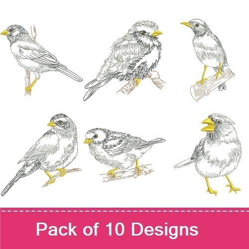 Outline Birds