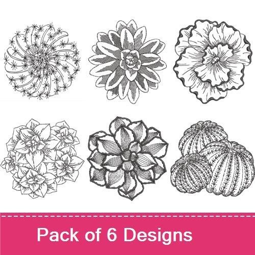 Redwork Floral Embroidery Designs Bundle – Succulent Plant, Rose Flower, Cactus Cluster & More (6 Designs)