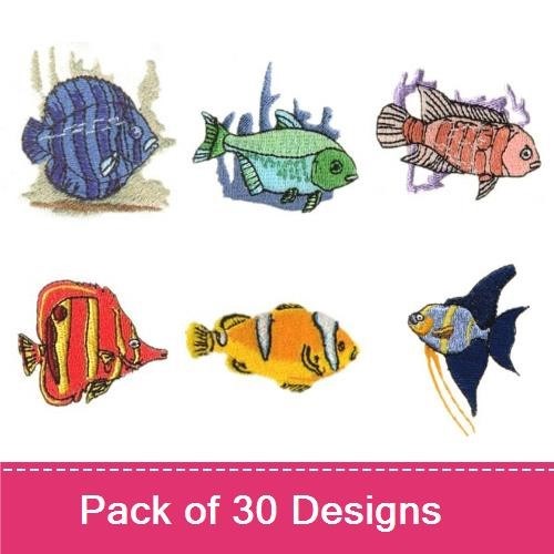 Marine Life 1
