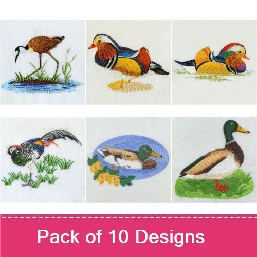 Colorful Waterfowl Embroidery Designs Bundle – Mandarin Duck, Mallard Duck, American Robin & More (10 Designs)
