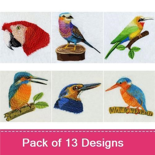 Colorful Birds Embroidery Designs Bundle – King Fisher, Green Parrot, Orange Bird & More (13 Designs)