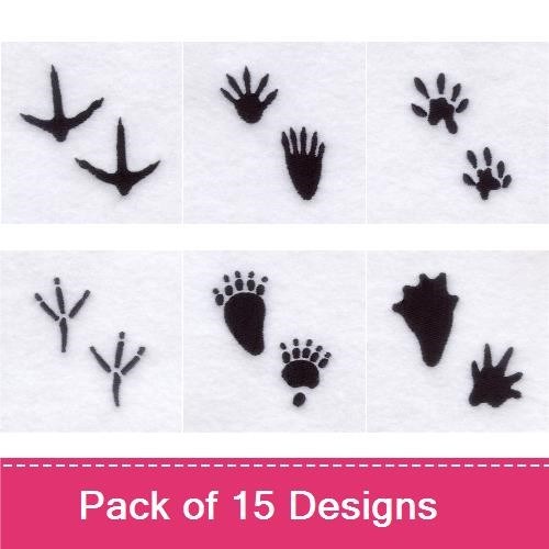 Animal Tracks