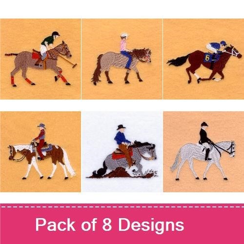 Equestrian Horse & Rider