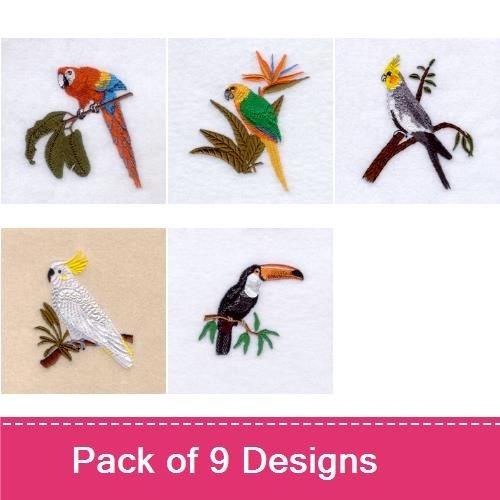 Tropical Birds