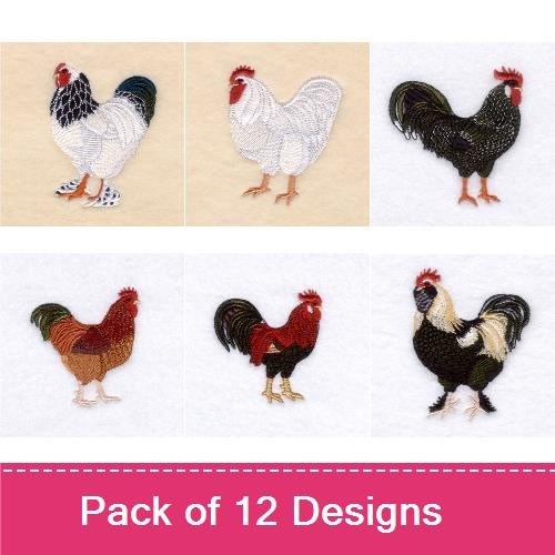 Roosters