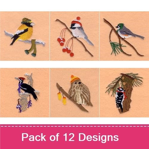 Winter Bird Scenes