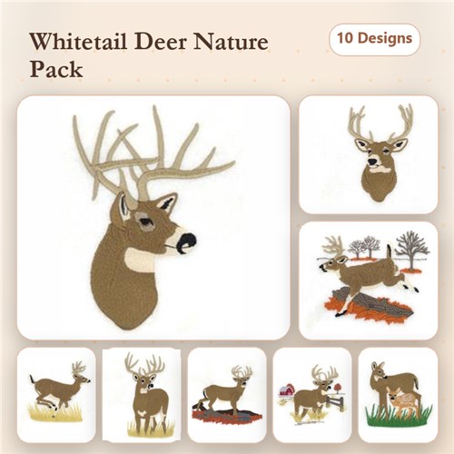 White-Tailed Deer