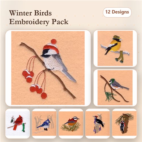 Winter Bird Scenes