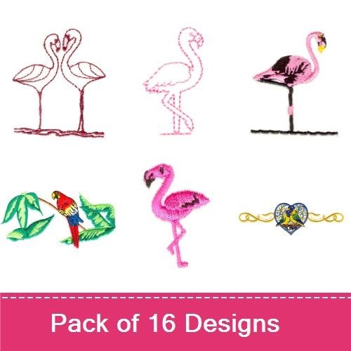 Tropical Birds