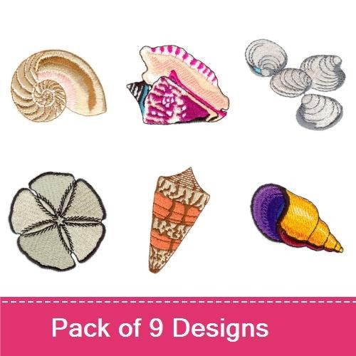 Sea Shells