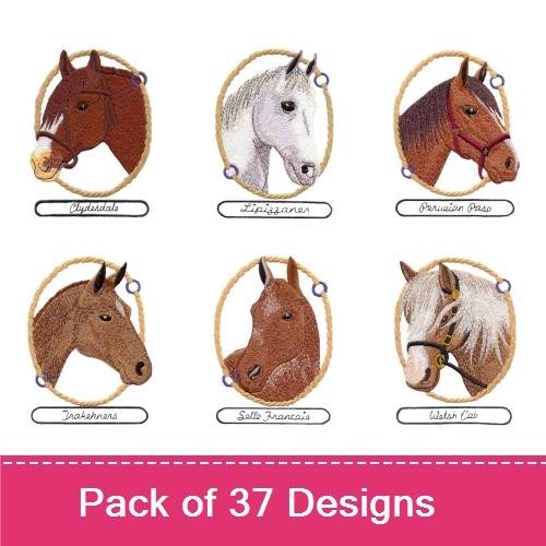 Horse Breeds Embroidery Bundle – American Standardbred, Appaloosa, Arabian Horse & More (37 Designs)