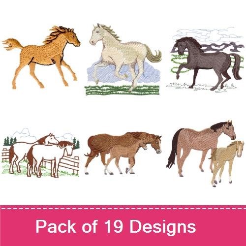 Horses 2