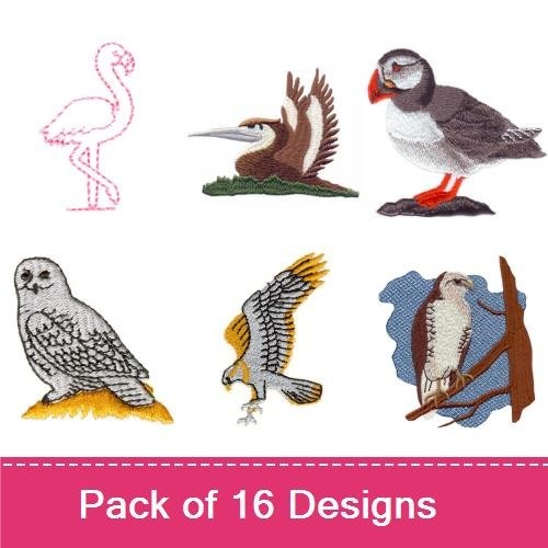 Realistic Birds