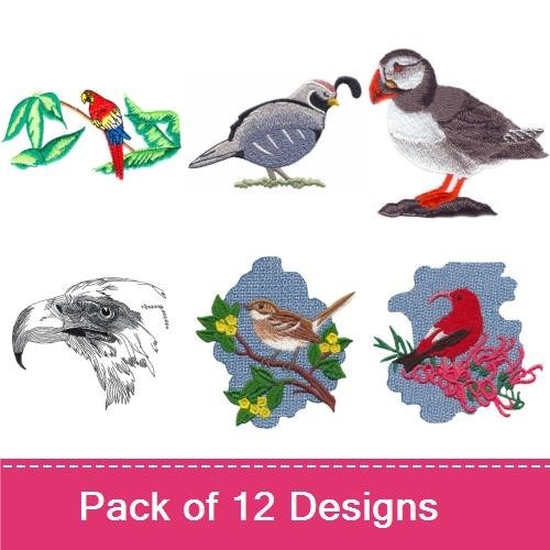 Wildlife Birds & Animals