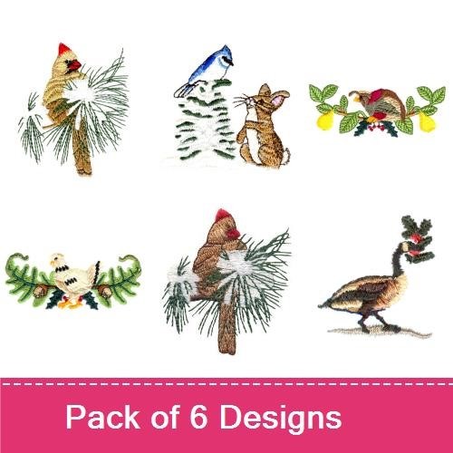 Winter Birds