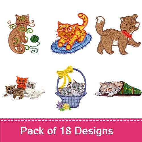 Playful Cats & Kittens