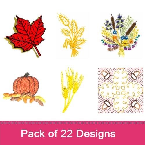 Fall Plants & Decorations