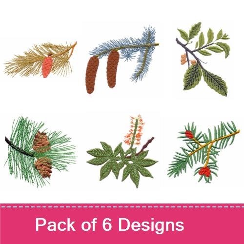 Tree Branches