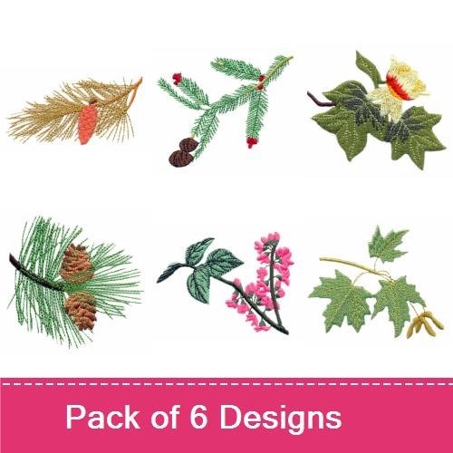 Realistic American Plants