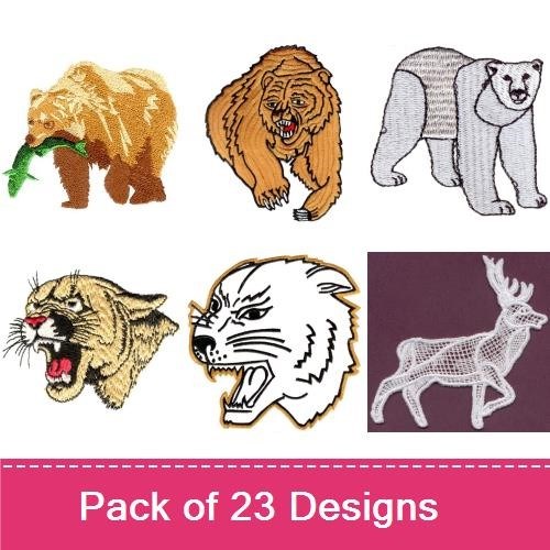Wildlife Animals
