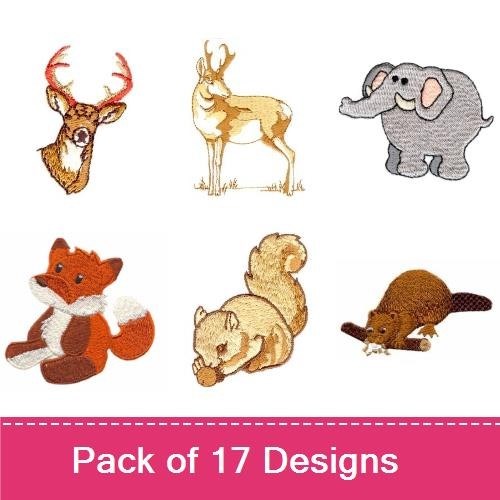 Wildlife Animals