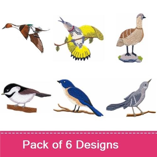 Realistic Birds