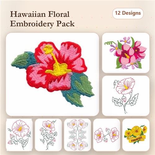 Beautiful Hibiscus
