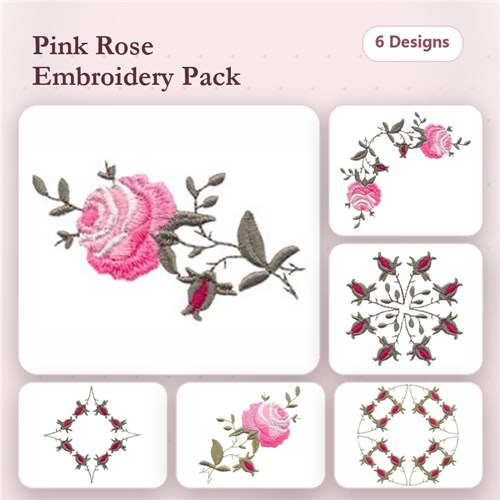 Climbing Rose Climbing Rose