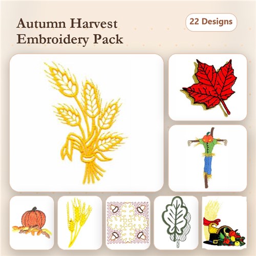 Fall Plants & Decorations