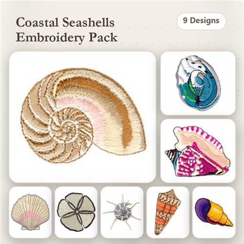 Sea Shells