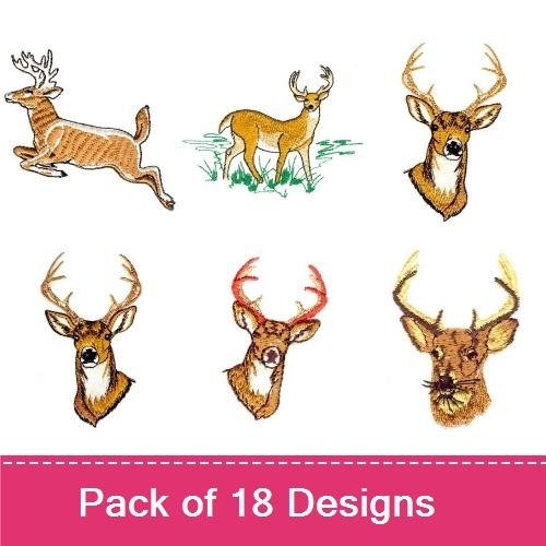 Deer & Antelope