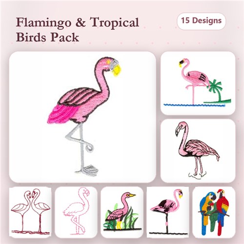 Tropical Birds Tropical Birds