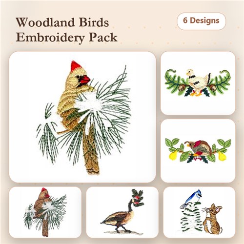 Winter Birds