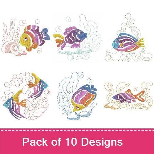 Colorful Tropical Fish