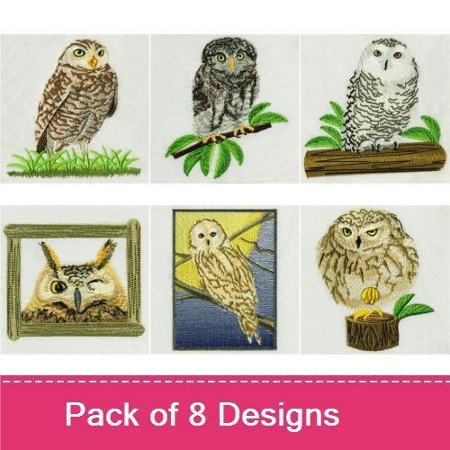 Owl Family Embroidery Designs Bundle – Brown Owl, Perched Owl, Screech Owl & More (8 Designs)