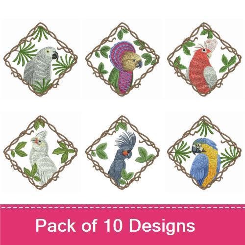 Colorful Parrot Embroidery Designs Bundle – Blue Macaw, Cockatoo, Purple Parrot & More (10 Designs)