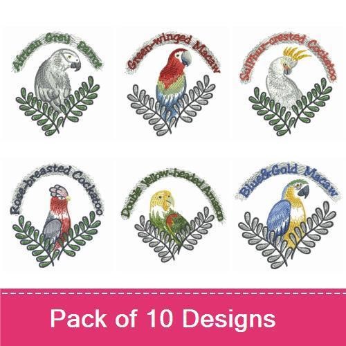 Exotic Parrots Embroidery Bundle – Green-winged Macaw, African Grey Parrot, Scarlet Macaw & More (10 Designs)