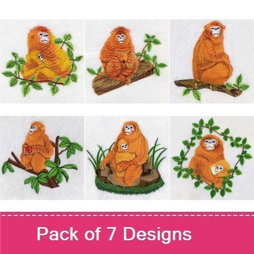 Golden Monkey