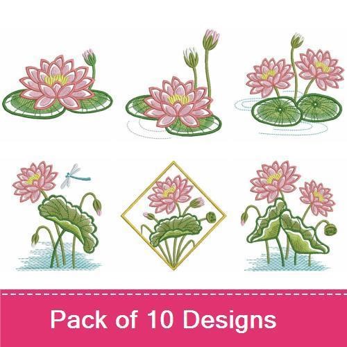 Water Lily